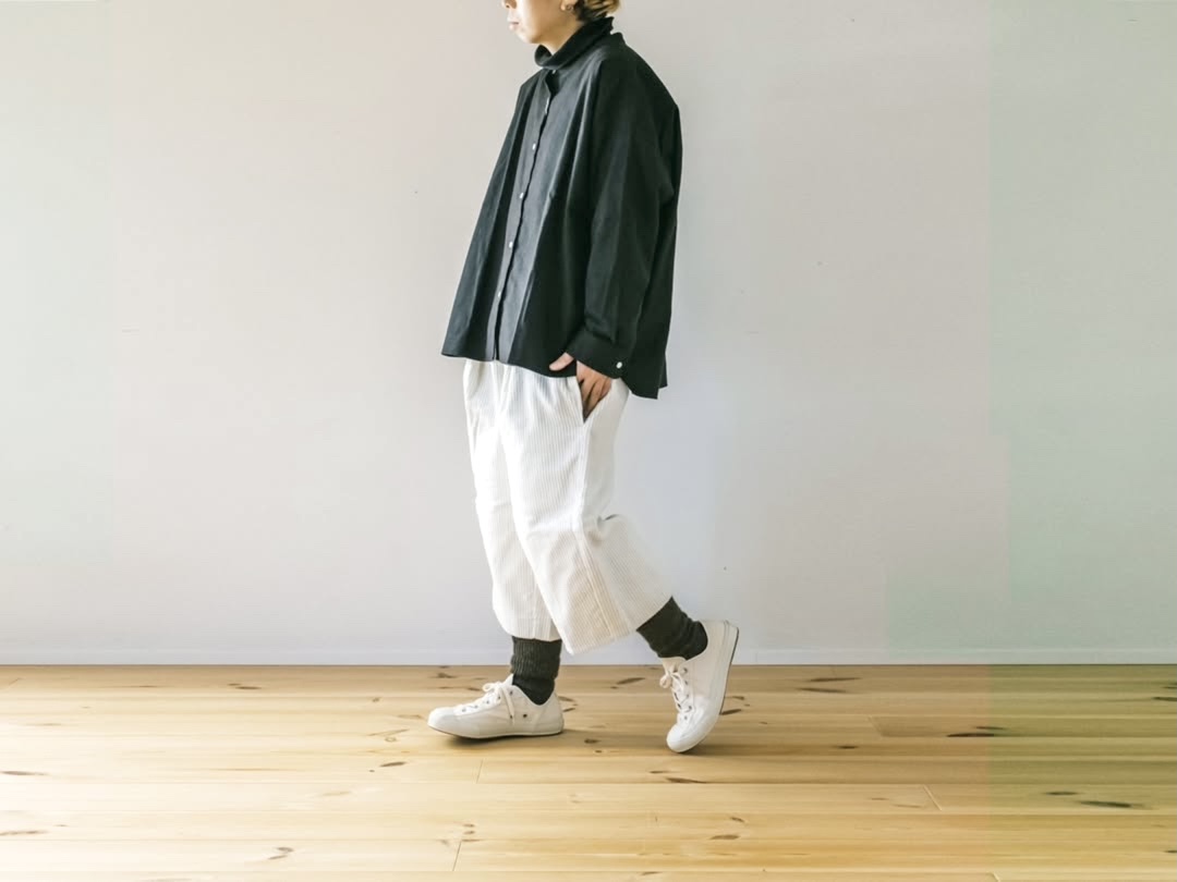 104 cs204 503 伝所鳩