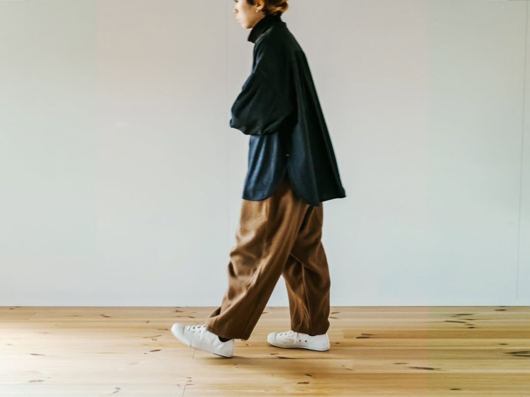 cs204 114 506 伝所鳩